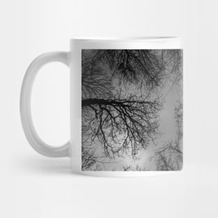 Reaching Trees 1 Mug